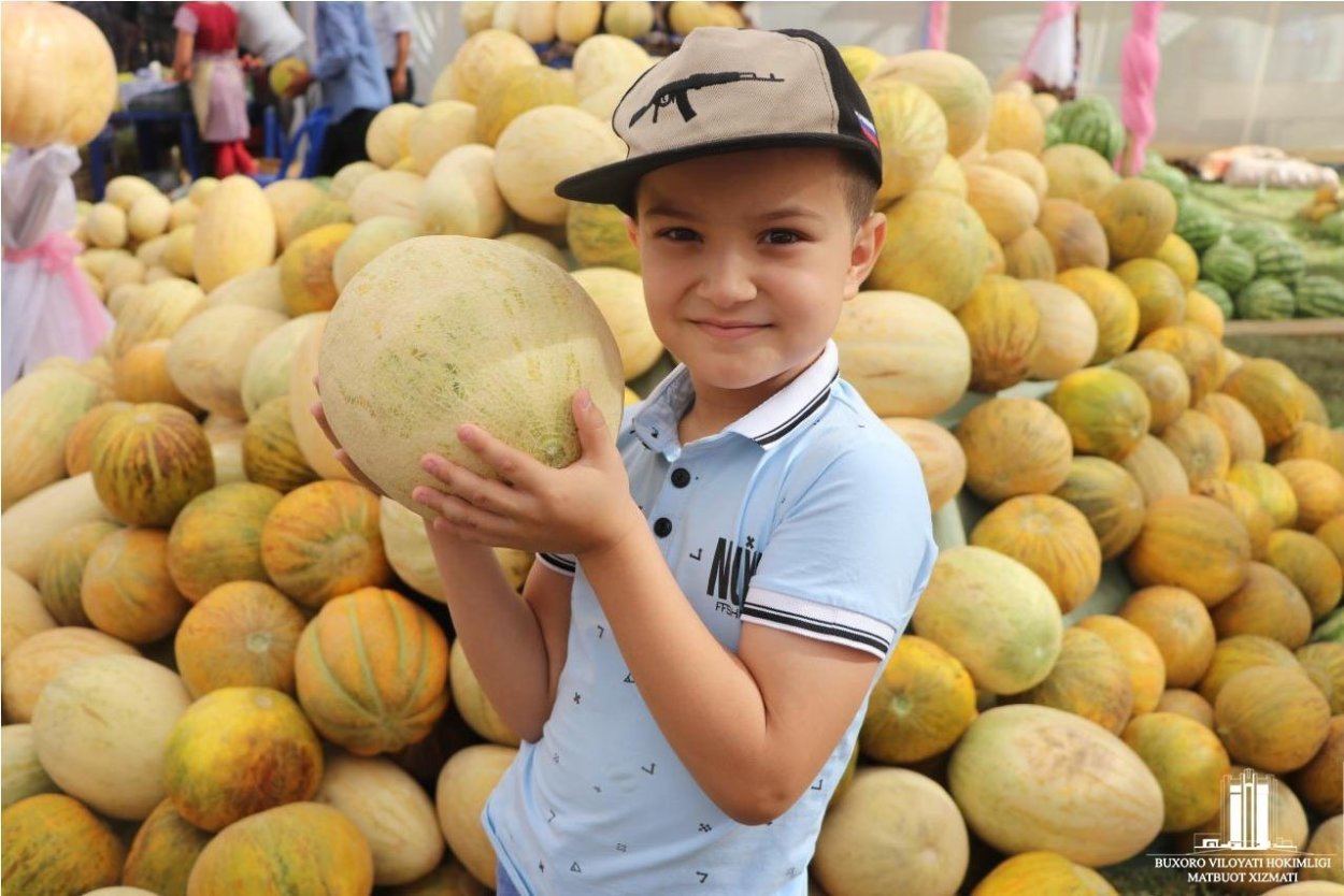 Сорт дыни карамель