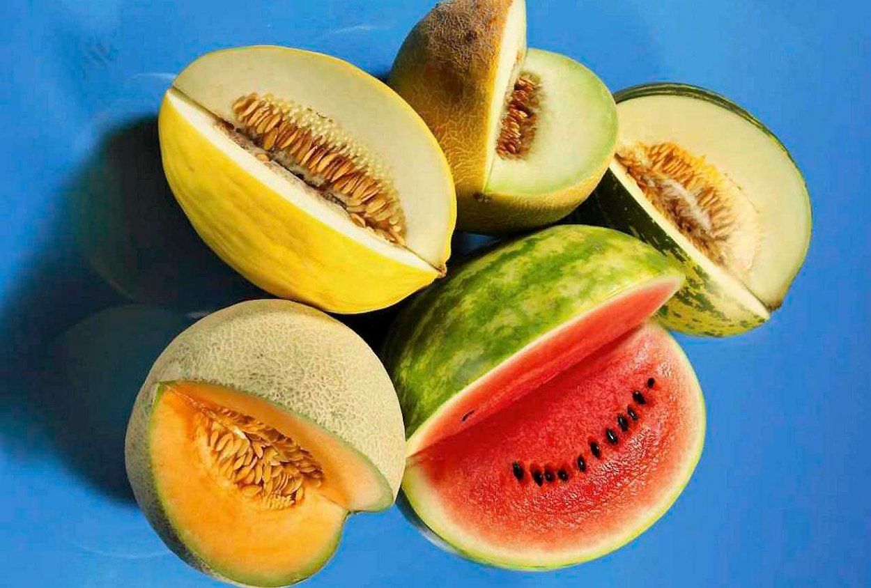 Японская дыня канталупа