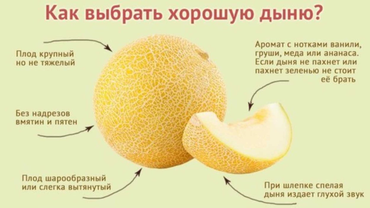 Чарджоуская дыня