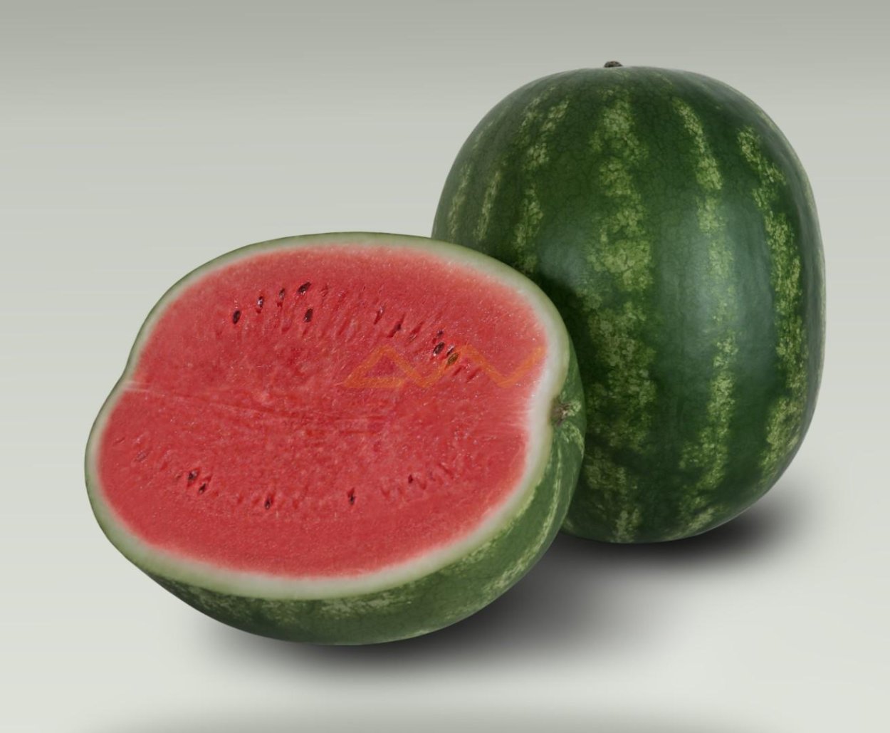 Арбуз Тамерлан f1 семена