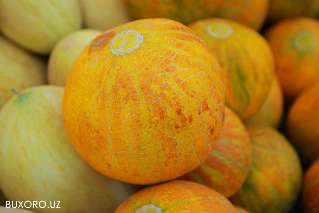 Арбузы и дыни на бахче