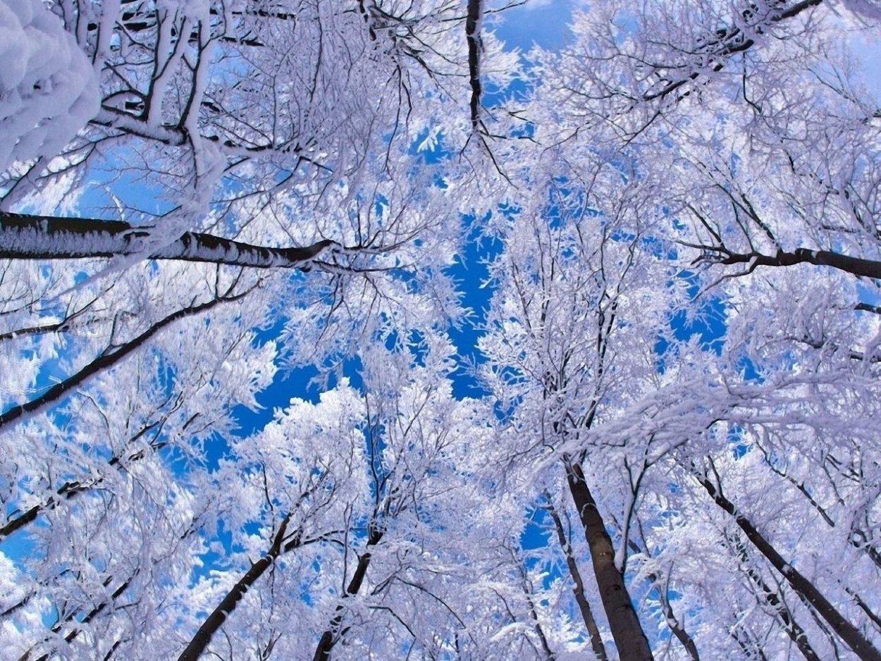 Зимний пейзаж панорама