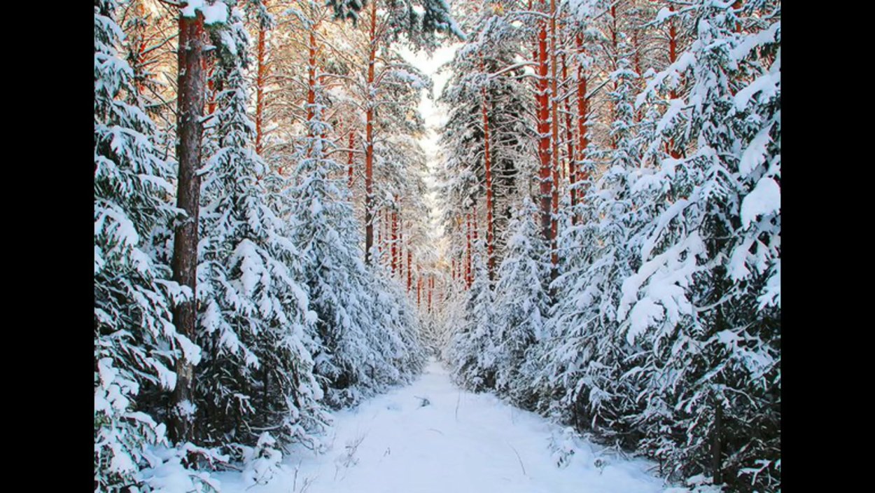 Зимние обои