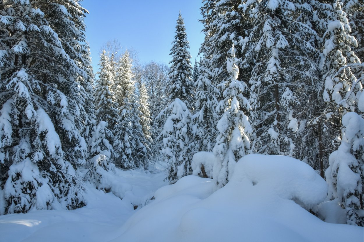 Зимняя Северная сказка