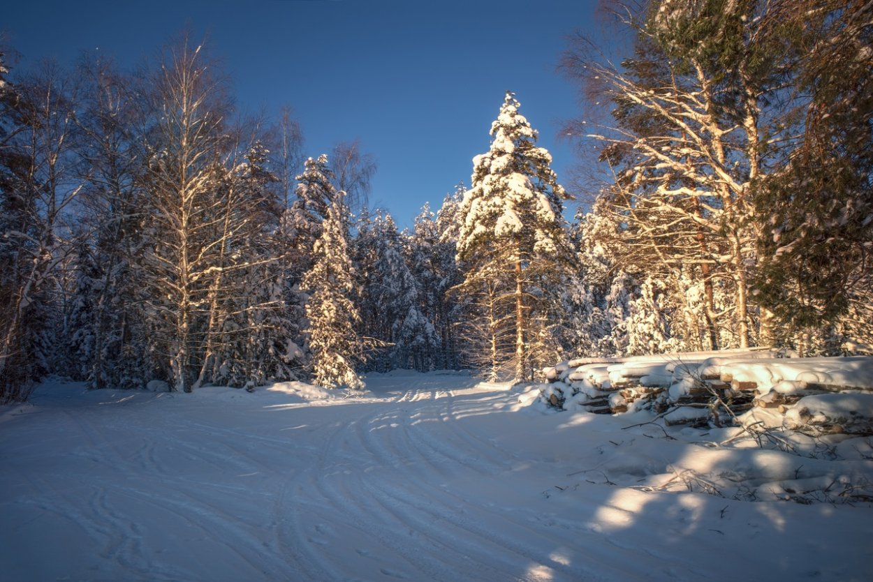 Зима картинки