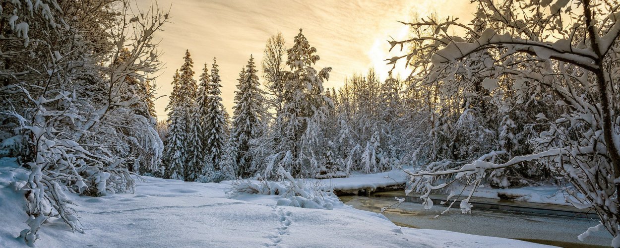 Зима панорама