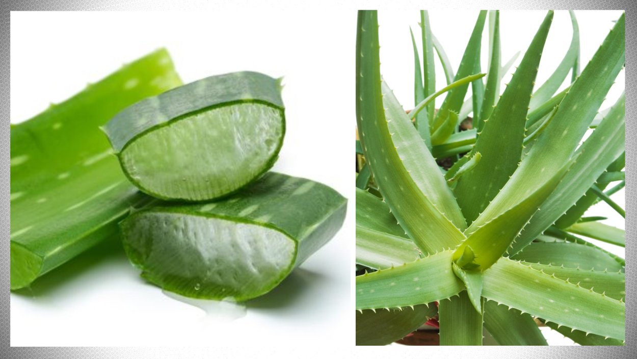 Брелок-пейджер Mongoose LS 9000d