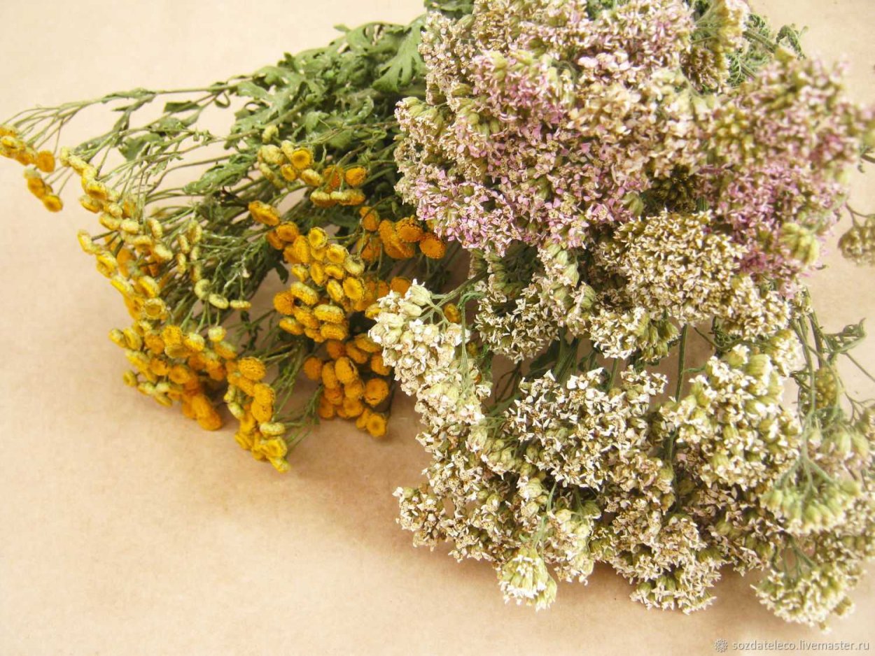 Пучок травы