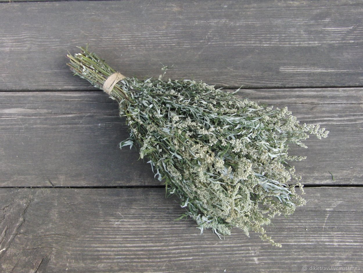 Веник травяной пижма