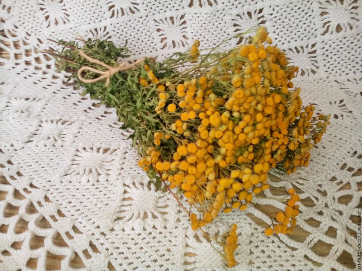 Полынь горькая окуривание