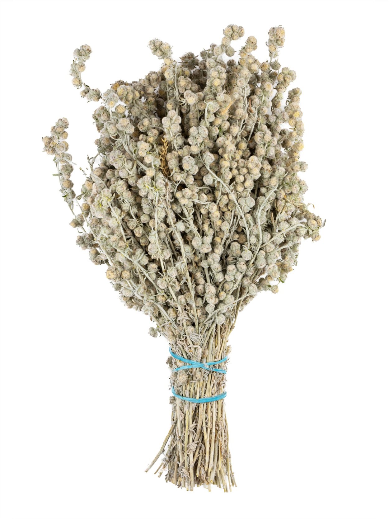 Букет полыни