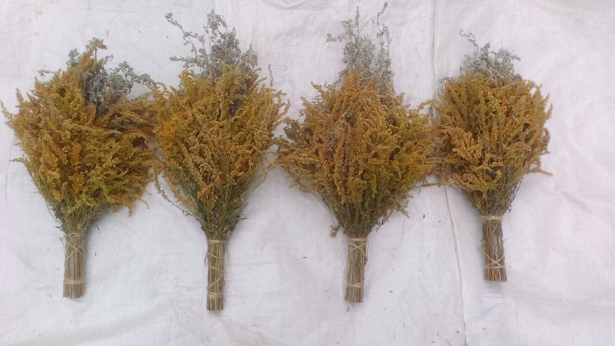 Травы от нечистой силы