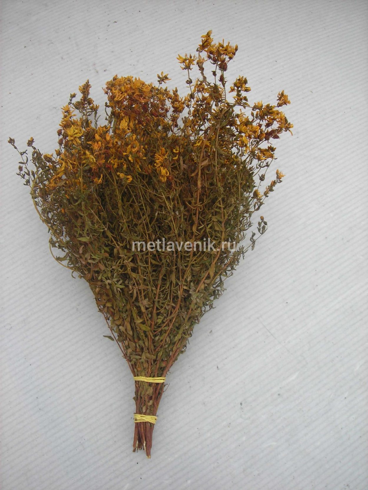 Полынь от блох