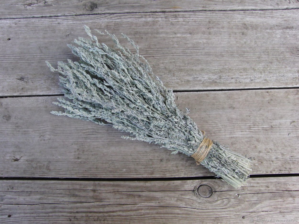 Полынь малоцветковая