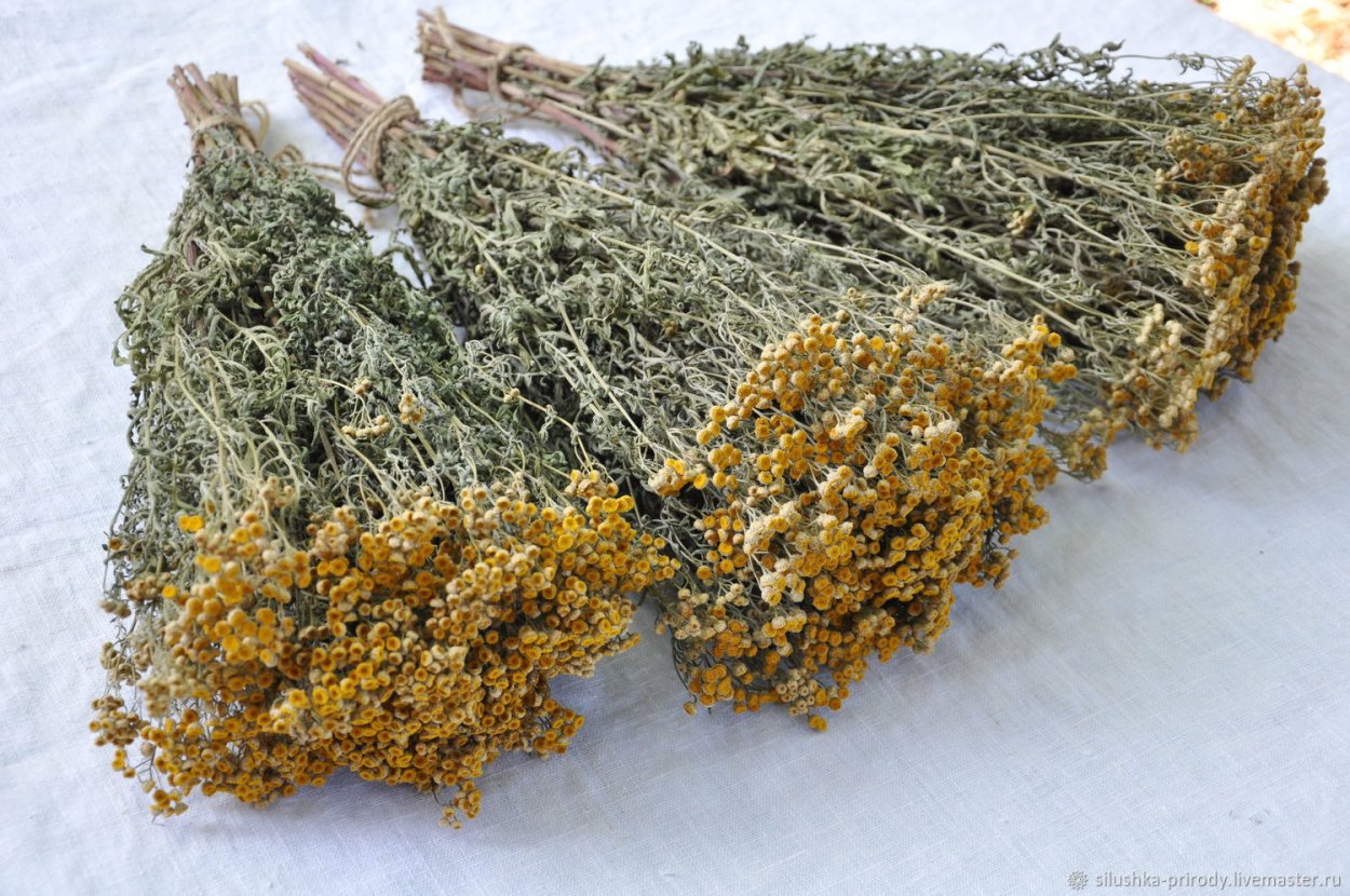 Букет камыш, ячмень, гипсофила