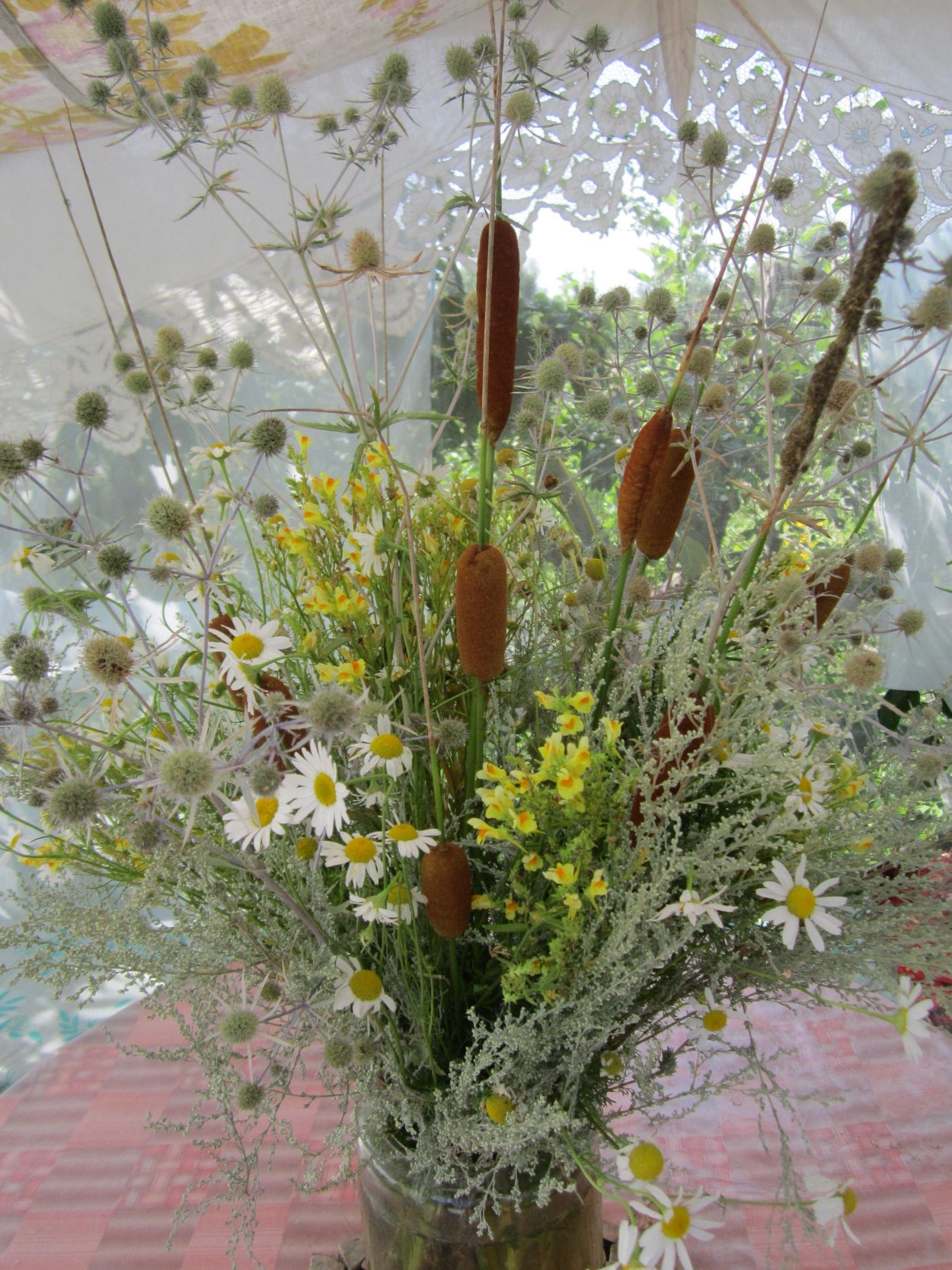 Засушенные травы