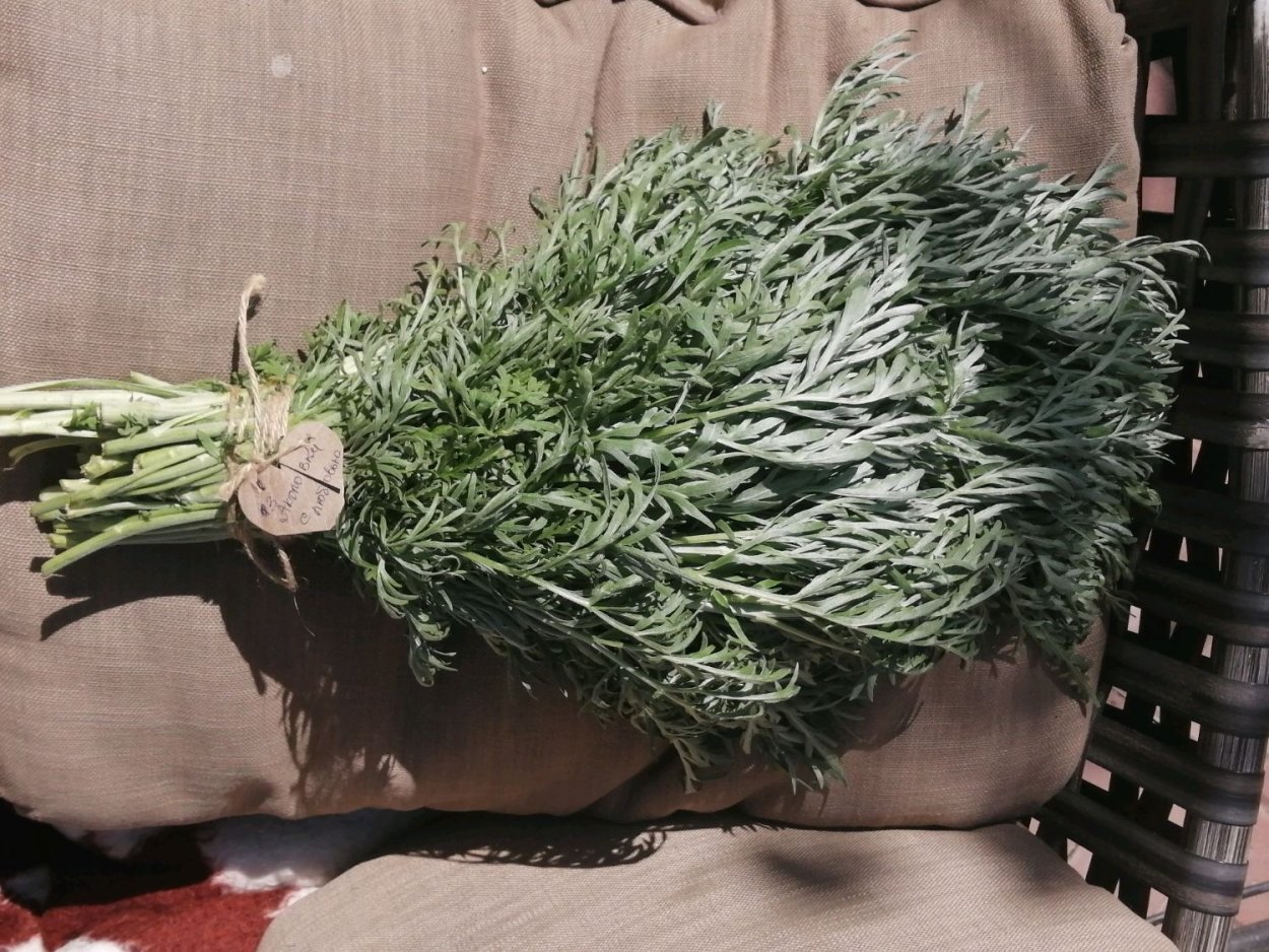 Пижмовый веник