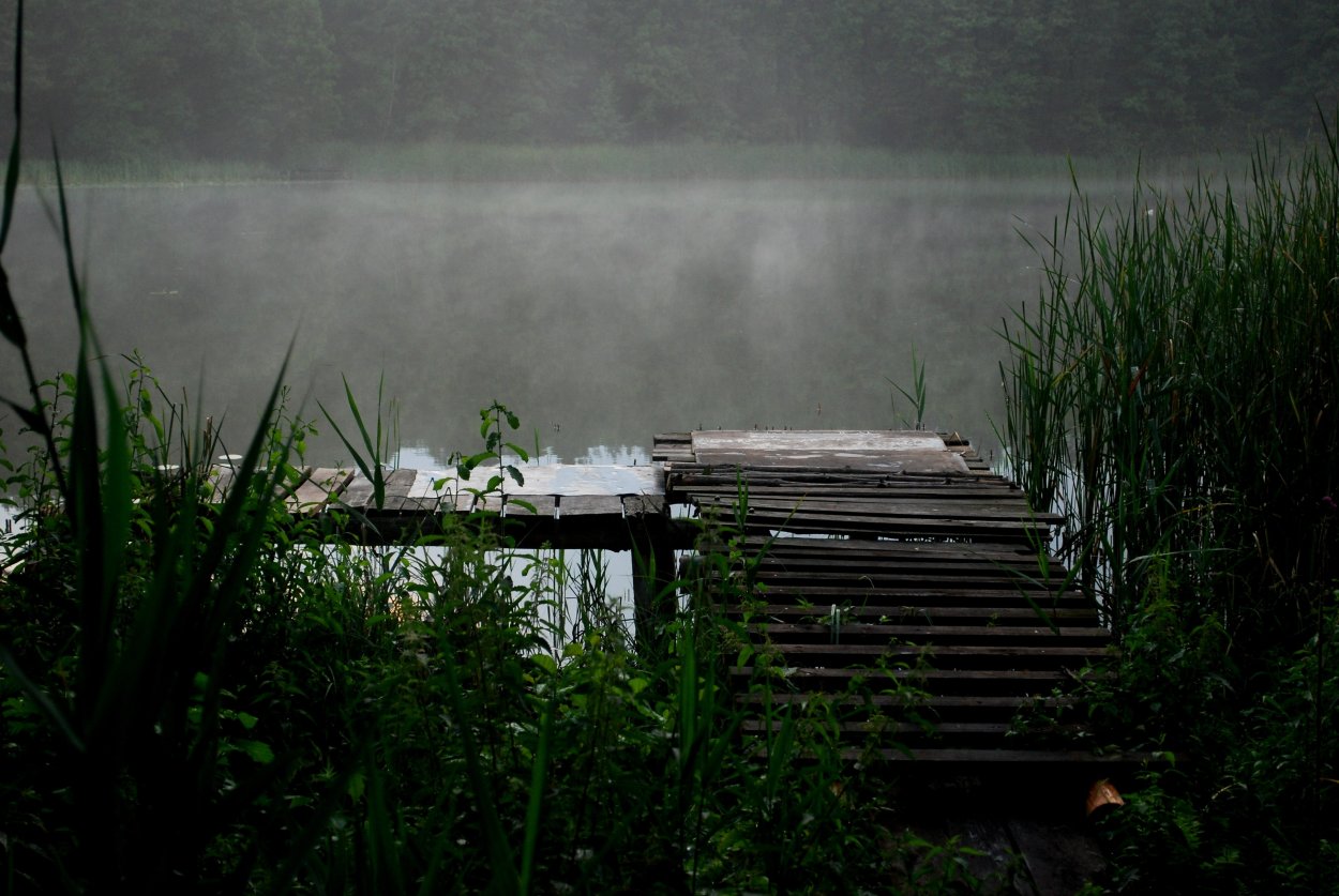 Дождь на реке