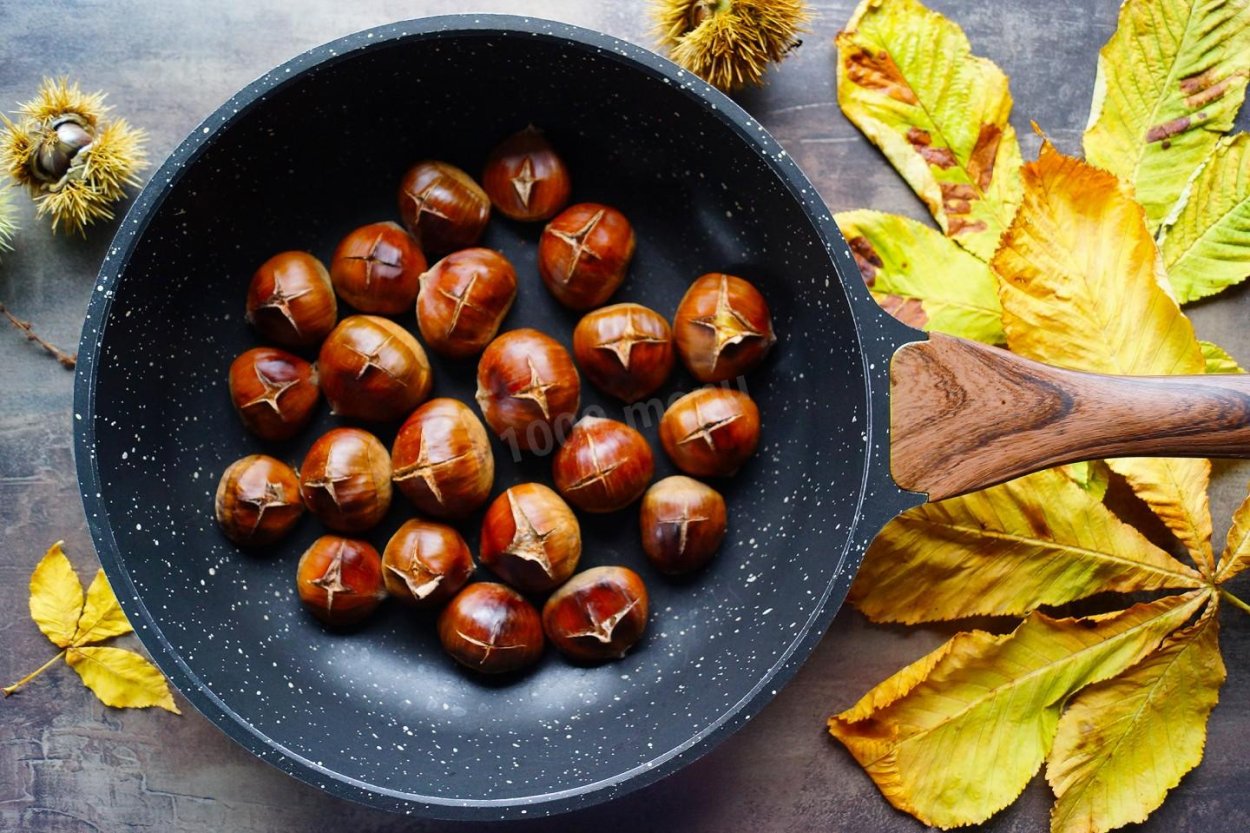 Каштан конский орех