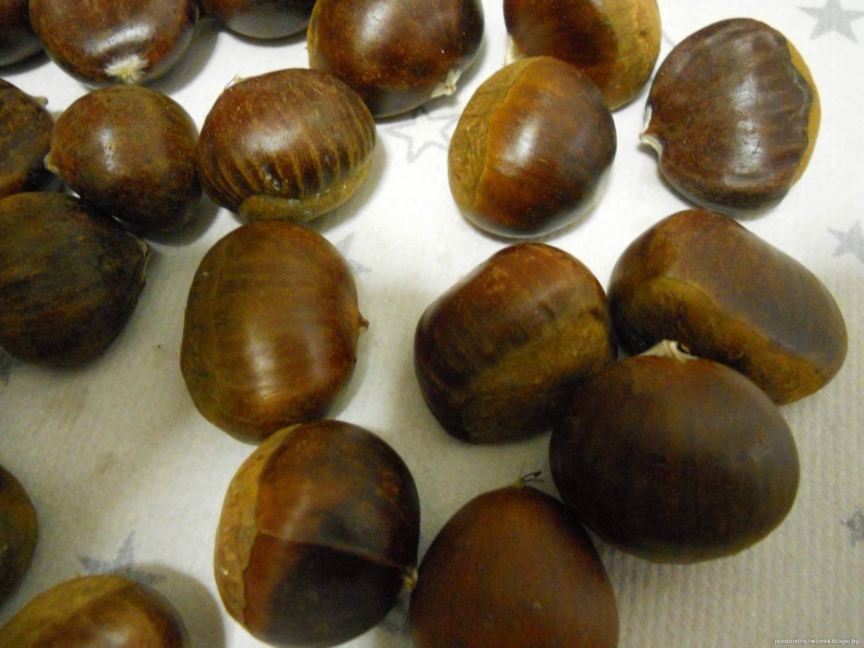 Каштаны съедобные и несъедобные