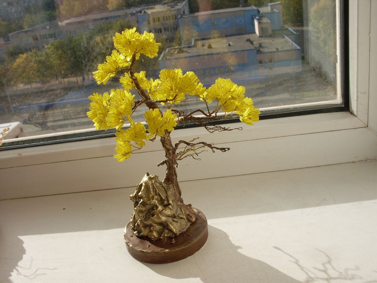 Веточка мимозы