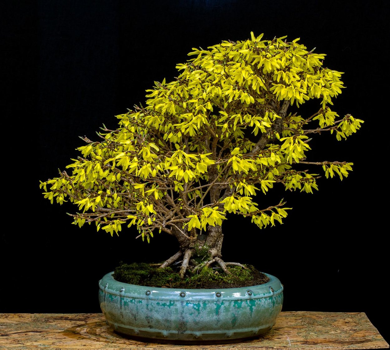 Мини деревья из бисера