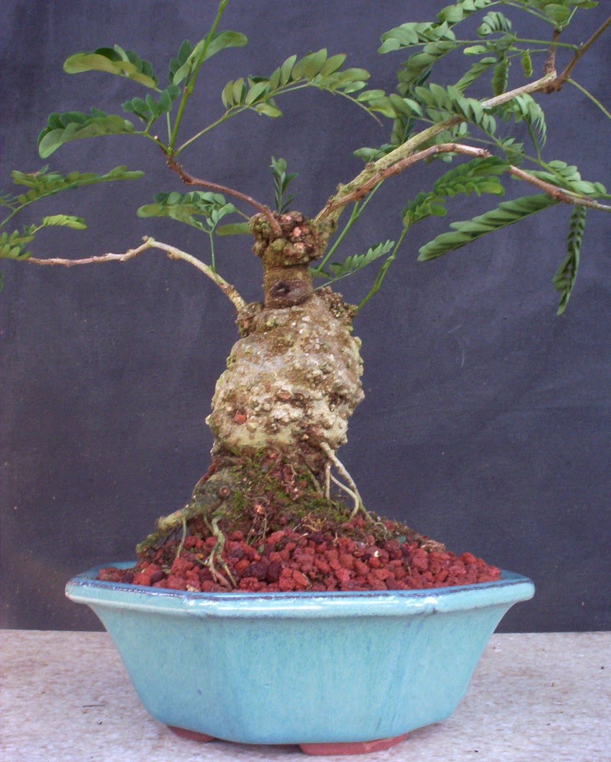 Набор бисерный цветок "желтая Мимоза"