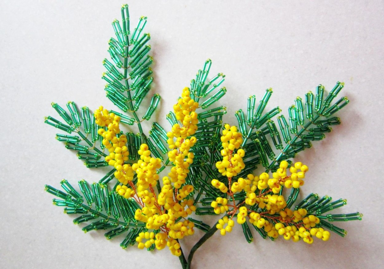 Мимоза стыдливая бонсай