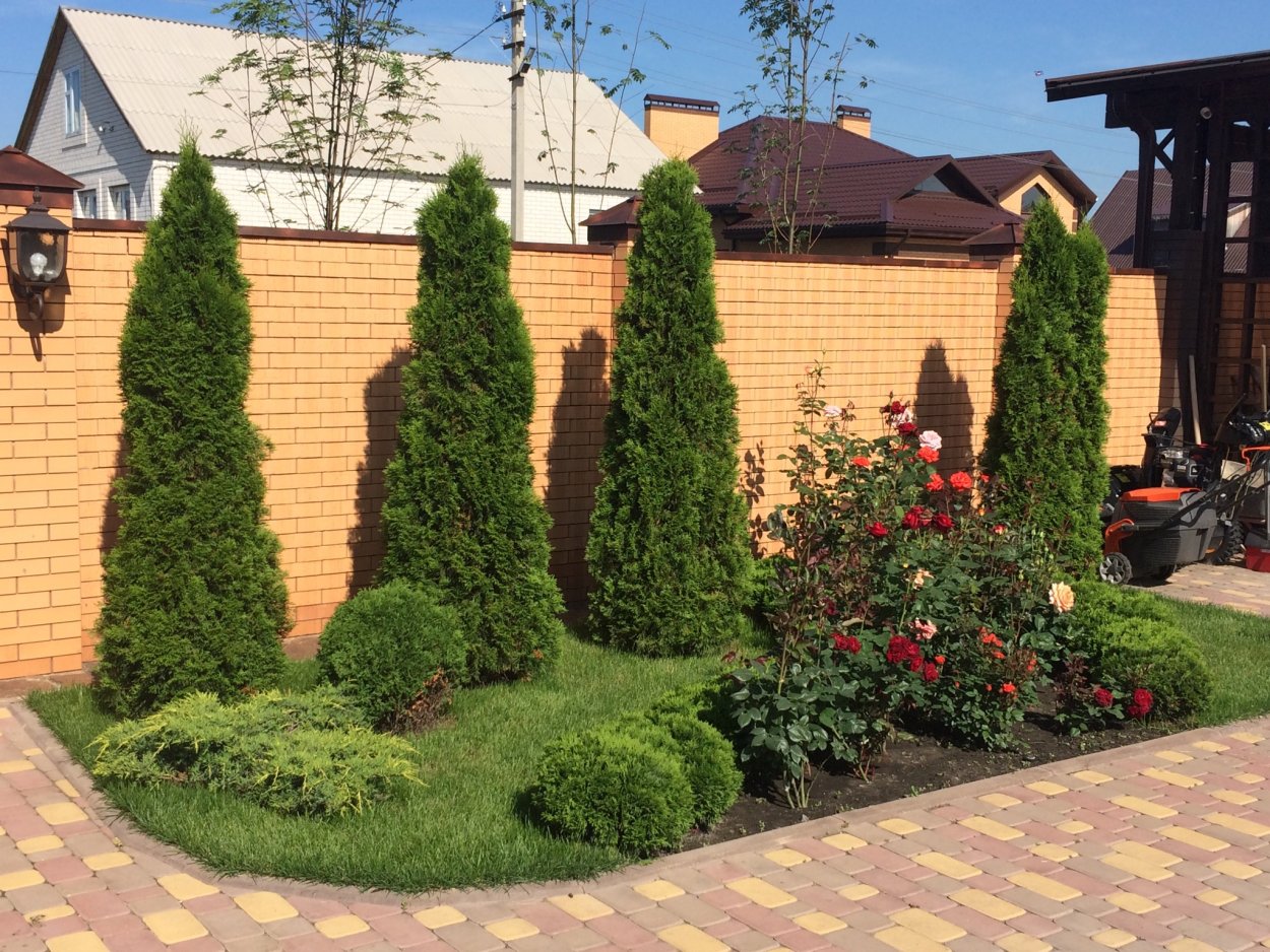 Хвойная клумба вдоль забора