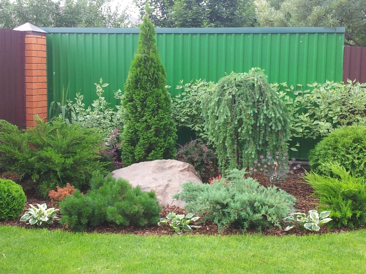 Миксбордер с туями