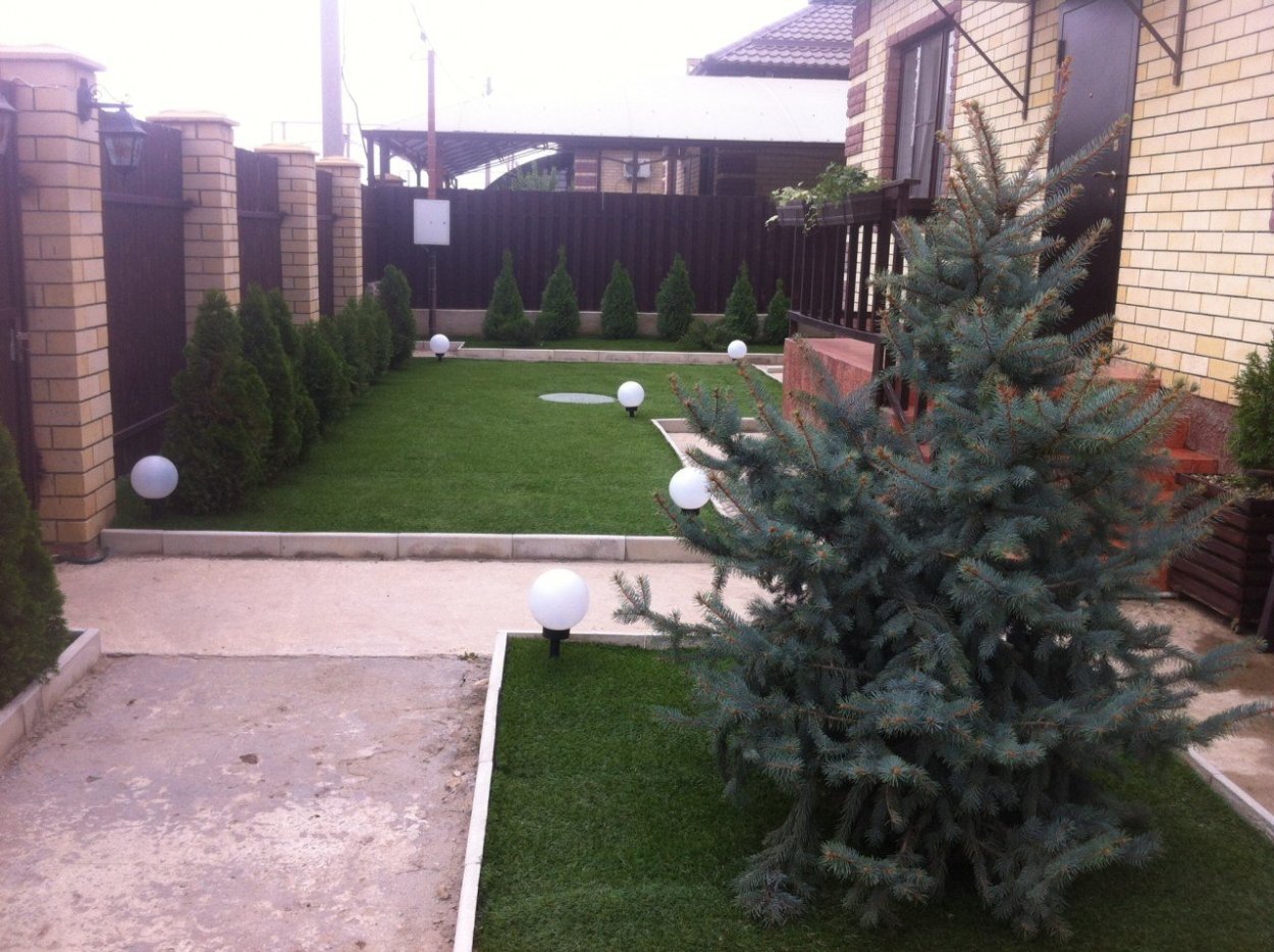 Ландшафт вдоль забора с хвойниками