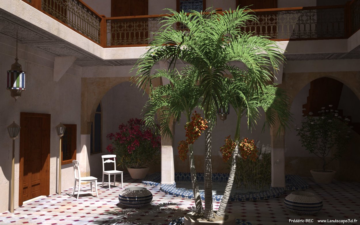 Адонидия ( Пальма) 24/150