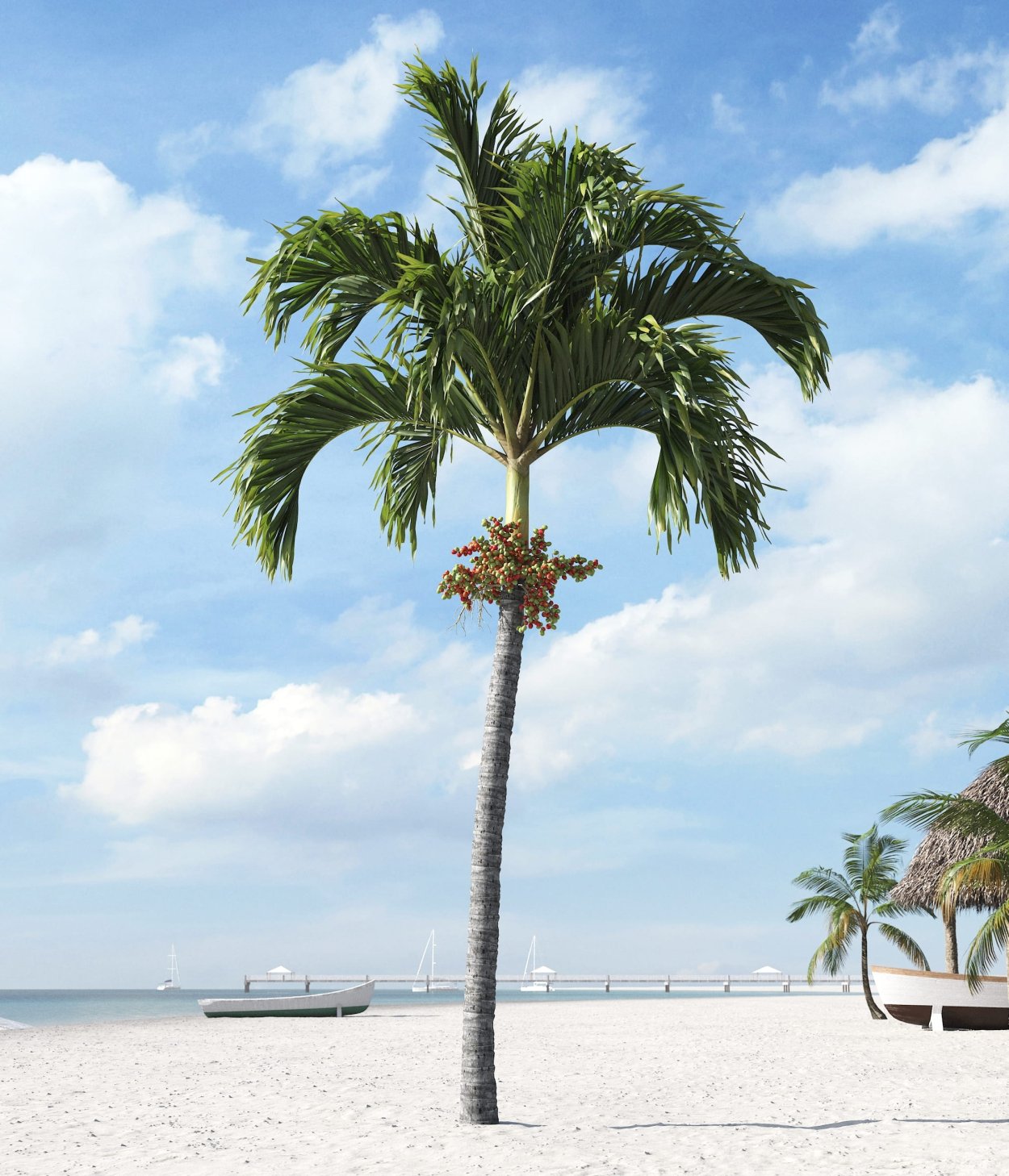 Пальма в саду