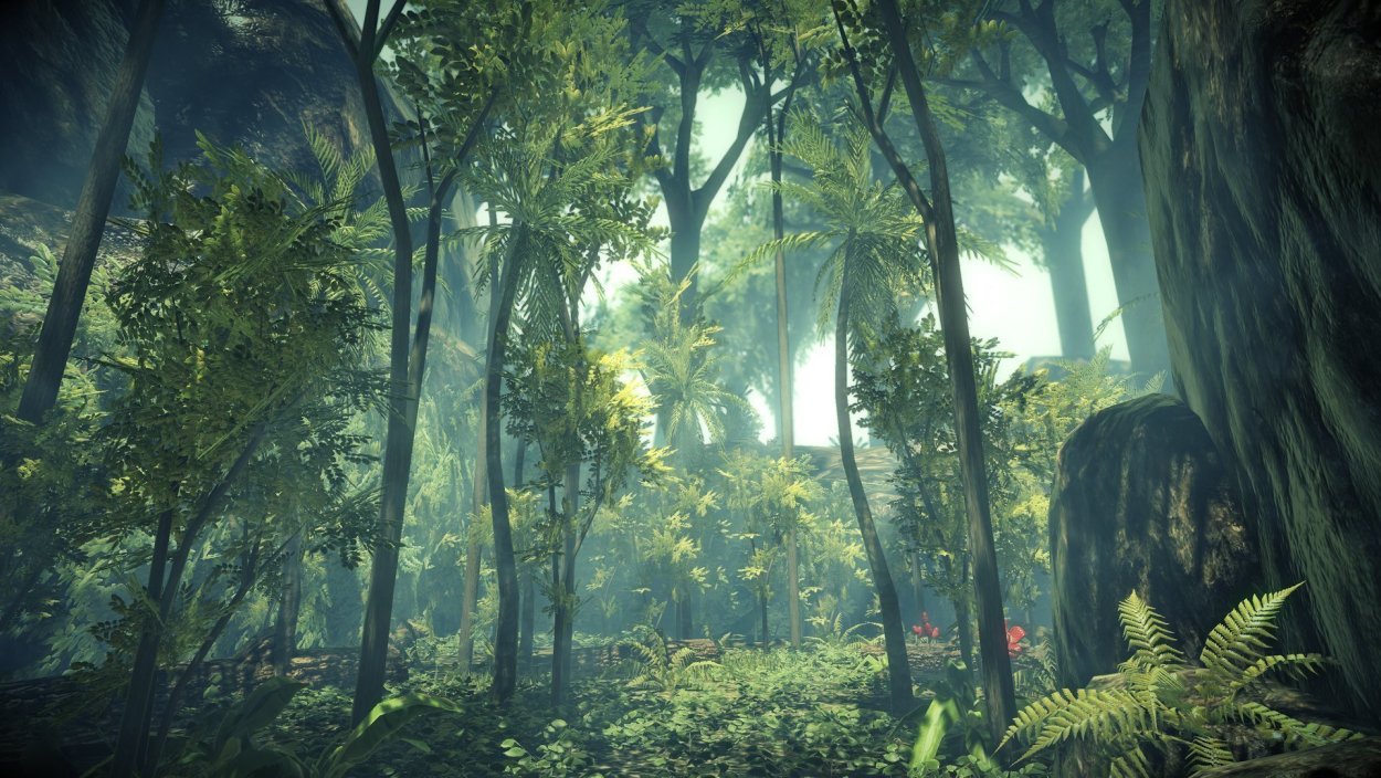 Харран джунгли