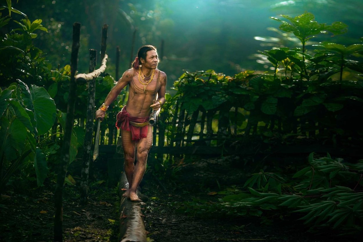 Жизнь в джунглях