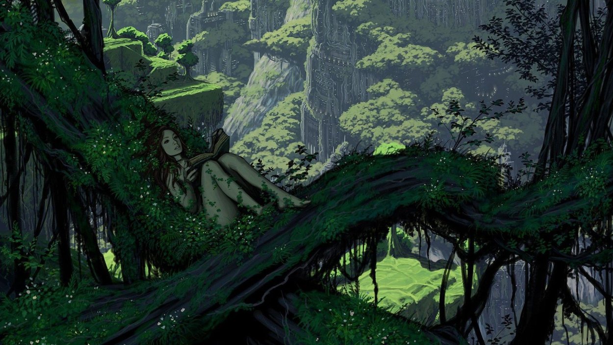 Джунгли Геншин арты