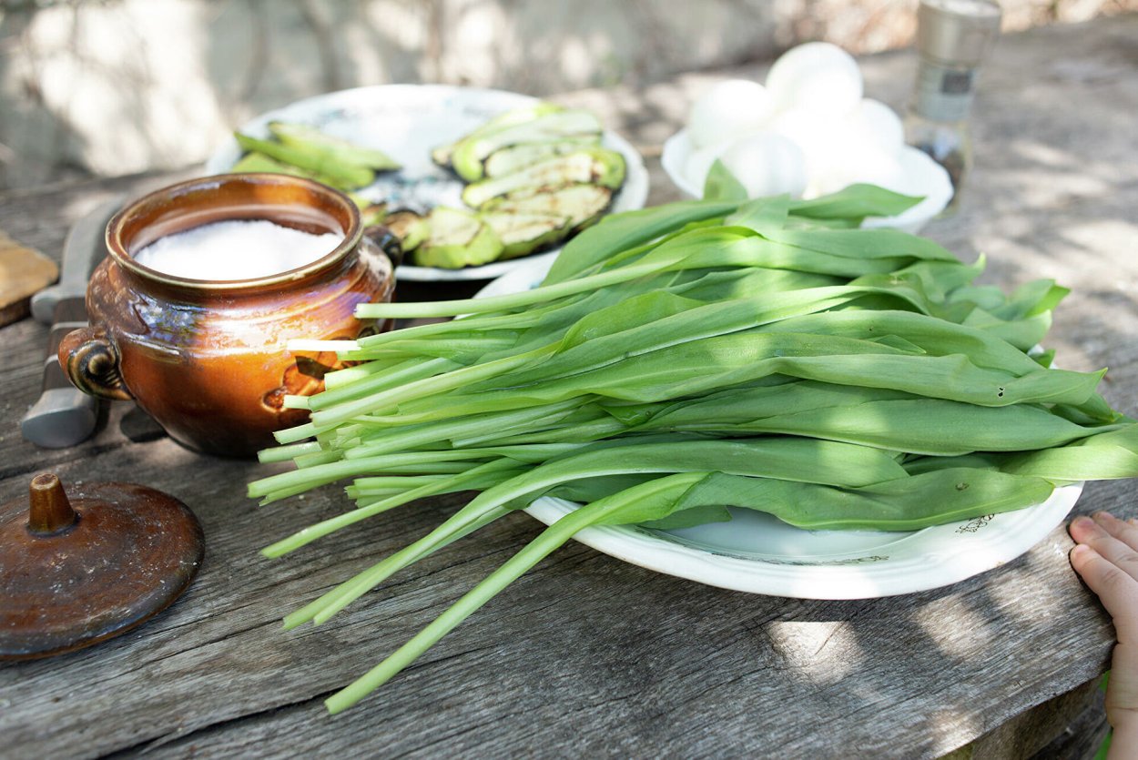 Черемша на Камчатке