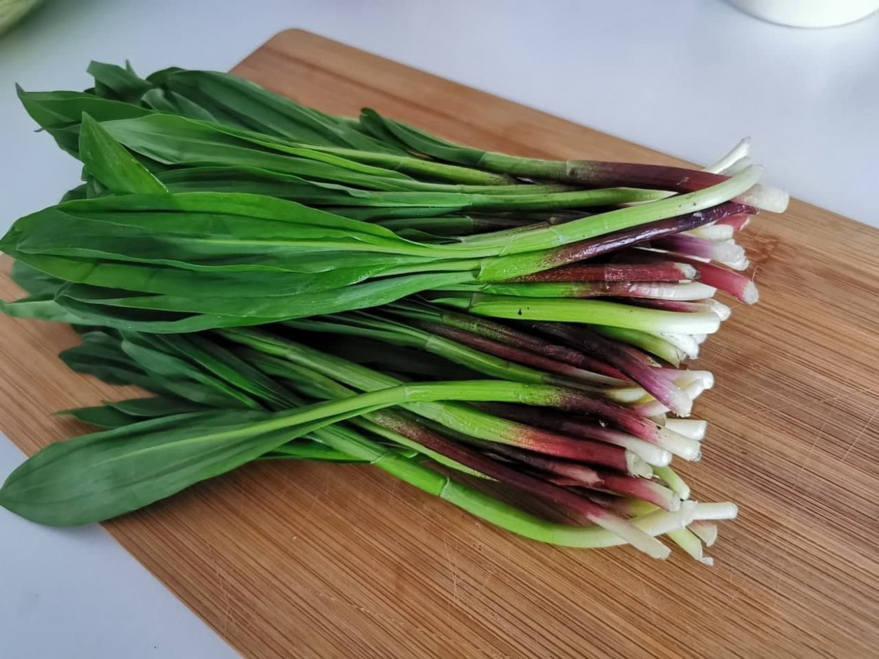 Мангольд шпинат базилик