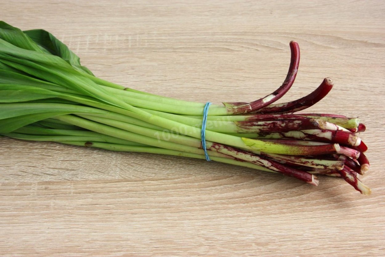 Черемша на Камчатке