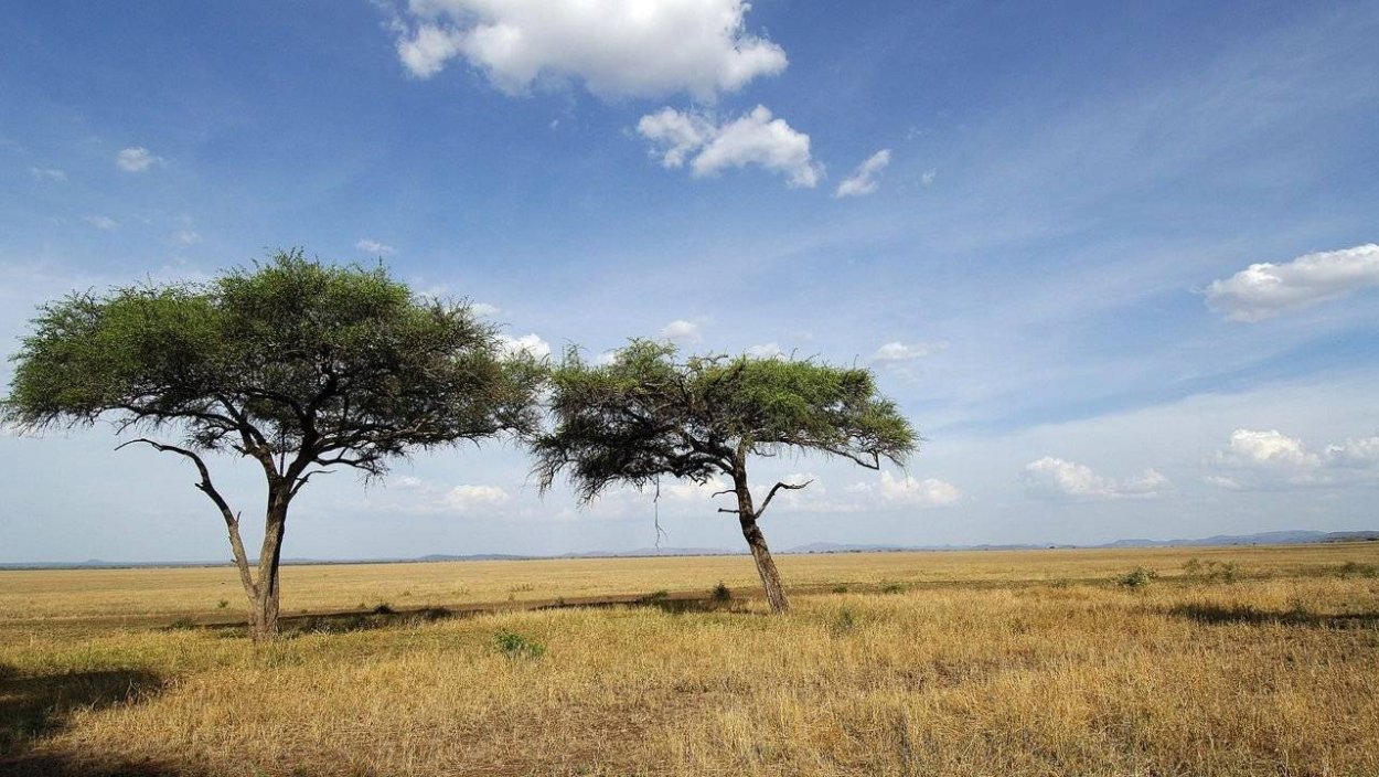 Ландшафт Серенгети