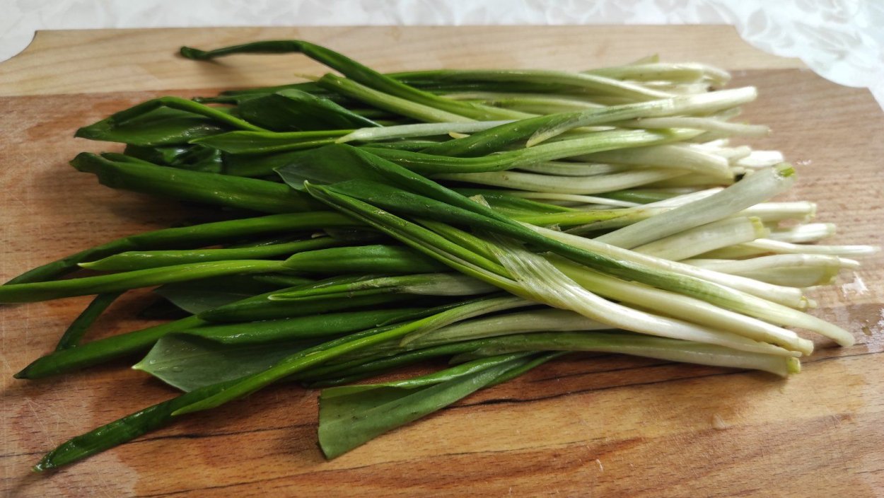 Колба Сибирская черемша