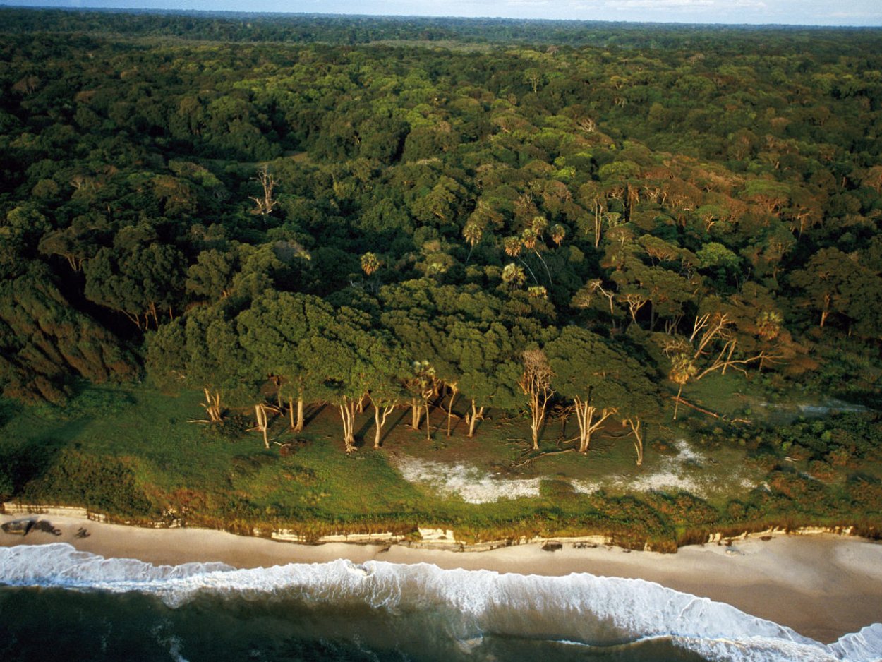 Национальный парк Лоанго