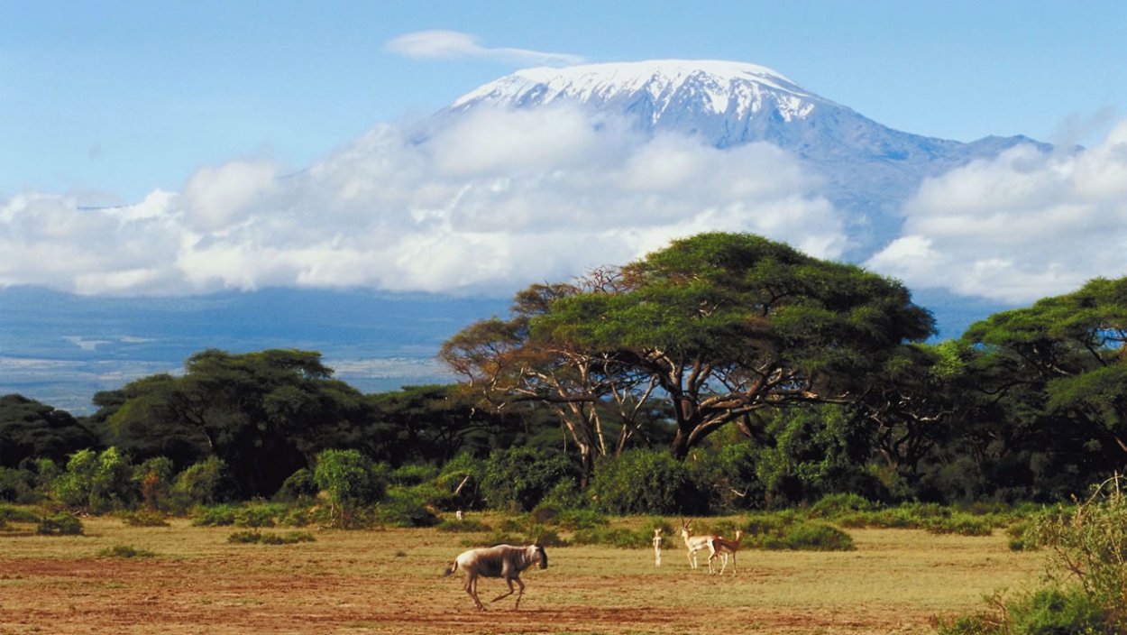 Субэкваториальный пояс Африки