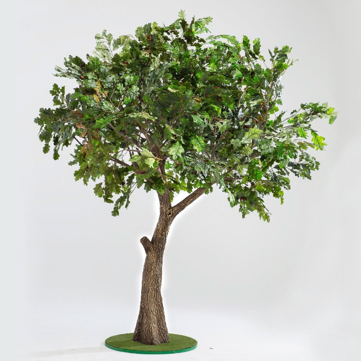 Дуб из дерева