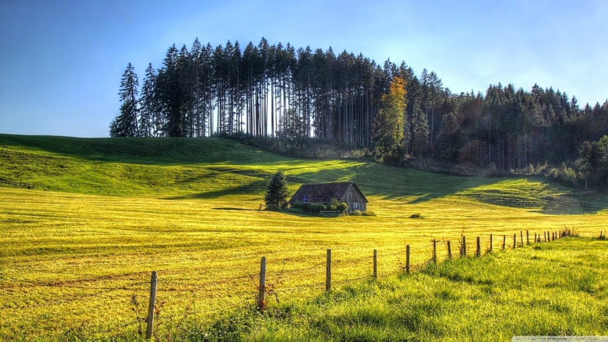 Река изгородь деревня лето