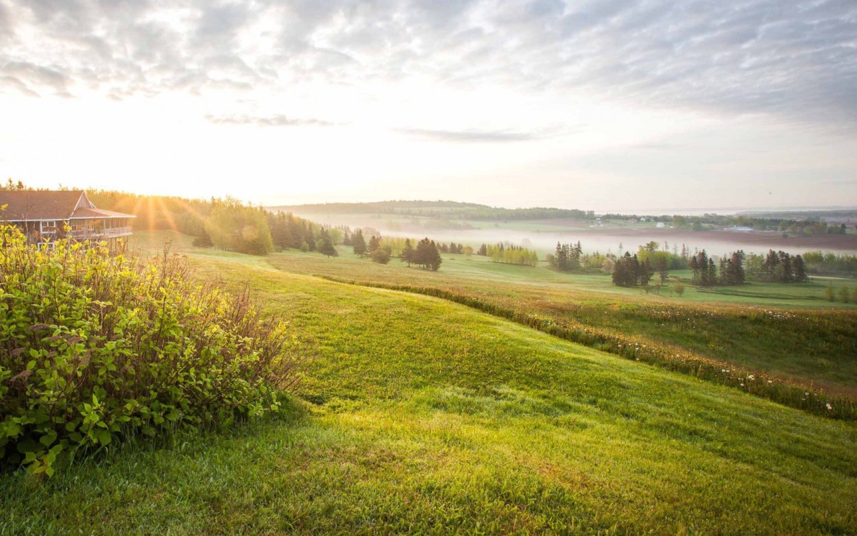 Родные просторы Пушгоры панорама