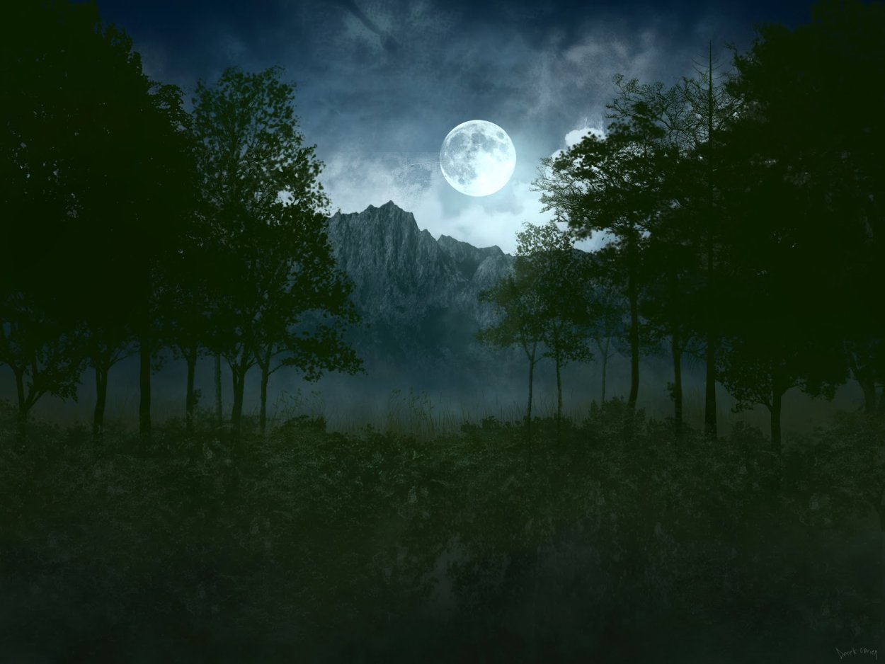 «Ночь в лесу»