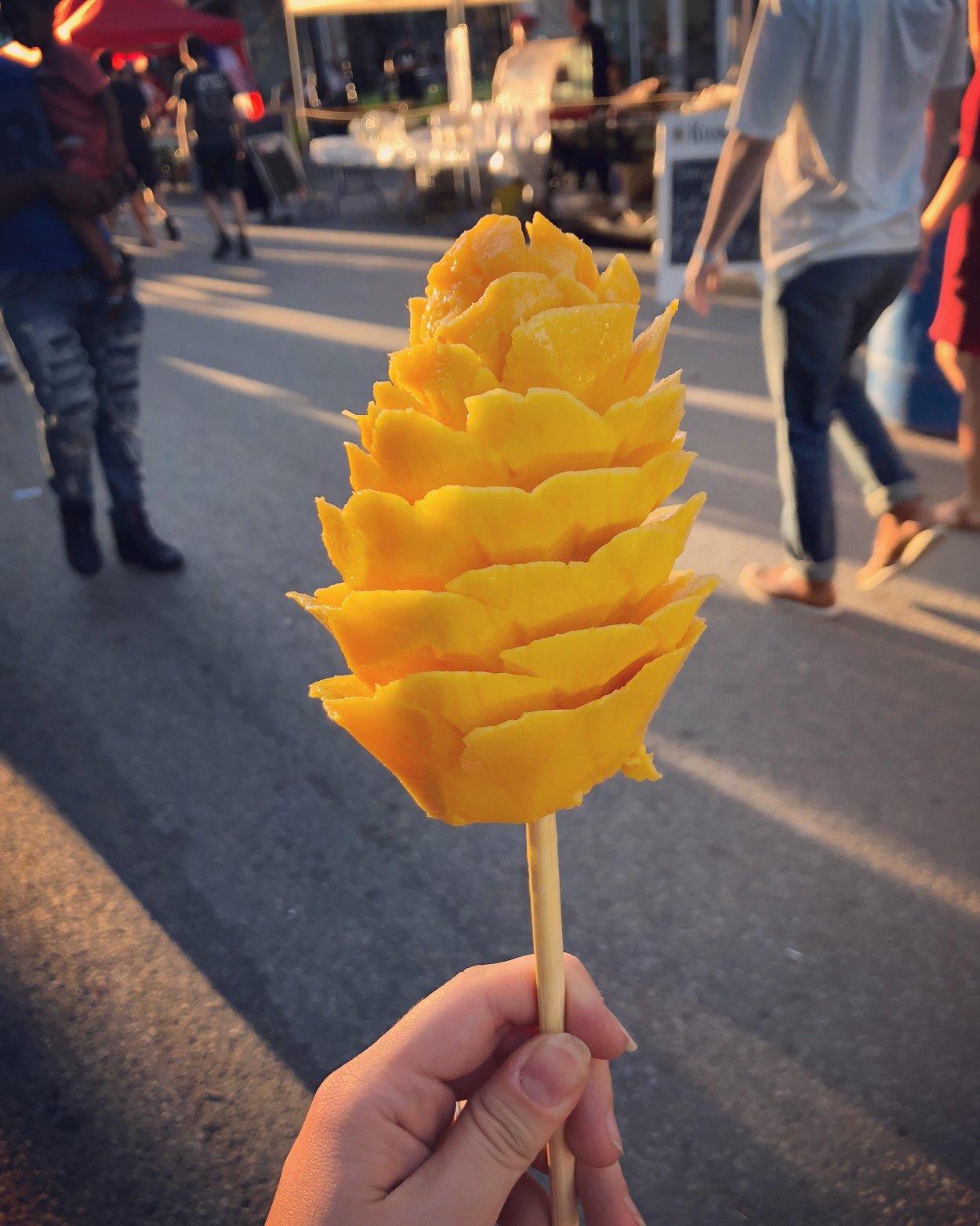 Логотип Tropic Fruits Fresh and