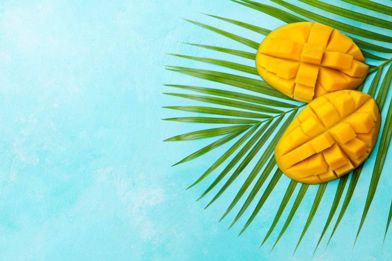 Цветущие Плюмерия Тайланда