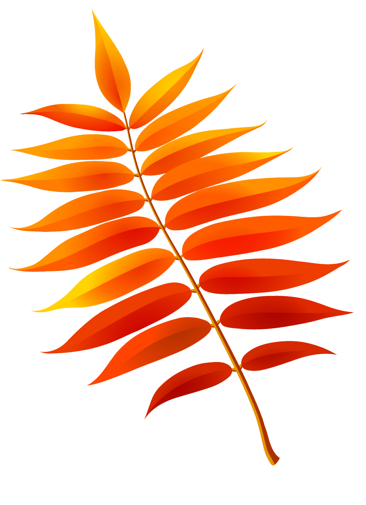 Листья рябины осенью